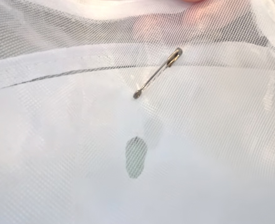 Monarch chrysalis rehung inside an enclosure using floss and a safety pin after falling from its original attachment